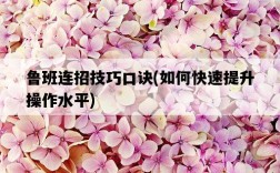 魯班連招技巧口訣，如何快速提升操作水平