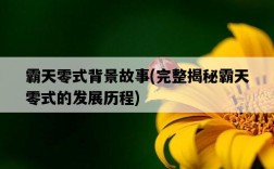 霸天零式背景故事，完整揭秘霸天零式的發展歷程