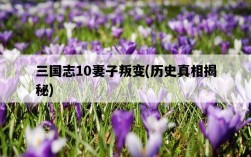 三國志10妻子叛變，歷史真相揭秘
