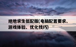 絕地求生低配版，電腦配置要求、游戲體驗、優化技巧