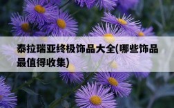 泰拉瑞亞終極飾品大全，哪些飾品最值得收集