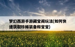 夢幻西游手游藏寶閣玩法，如何快速獲取珍稀裝備和寶寶