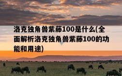 洛克獨角獸紫藤100是什么，全面解析洛克獨角獸紫藤100的功能和用途