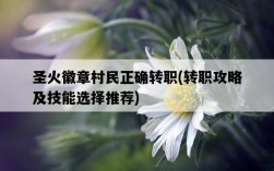 圣火徽章村民正確轉職，轉職攻略及技能選擇推薦