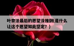 葉奈法最后的愿望沒推倒，是什么讓這個愿望如此堅定？