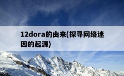 12dora的由來，探尋網絡迷因的起源