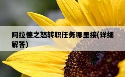 阿拉德之怒轉職任務哪里接，詳細解答