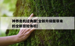 神界危機經典版，全新升級版帶來的全新冒險體驗