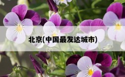 北京，中國最發達城市