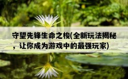 守望先鋒生命之梭，全新玩法揭秘，讓你成為游戲中的最強玩家