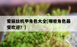 愛麗絲機甲角色大全，哪些角色最受歡迎？