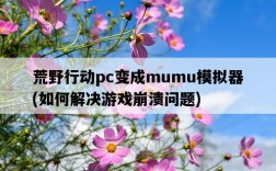 荒野行動pc變成mumu模擬器，如何解決游戲崩潰問題