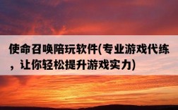 使命召喚陪玩軟件，專業游戲代練，讓你輕松提升游戲實力