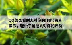 QQ怎么看別人對你的印象，簡單操作，輕松了解他人對你的評價