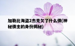 加勒比海盜2杰克欠了什么債，神秘債主的身份揭秘
