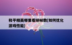 和平精英哪里看掉幀數，如何優化游戲性能