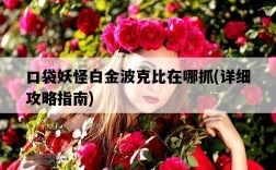 口袋妖怪白金波克比在哪抓，詳細攻略指南