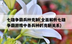 七雄爭霸兵種克制，全面解析七雄爭霸游戲中各兵種的克制關系