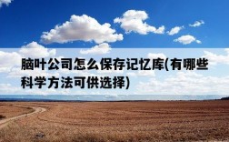 腦葉公司怎么保存記憶庫，有哪些科學方法可供選擇