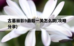 古墓麗影9最后一關怎么跳，攻略分享
