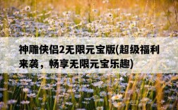神雕俠侶2無限元寶版，超級福利來襲，暢享無限元寶樂趣