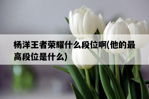 楊洋王者榮耀什么段位啊，他的最高段位是什么-圖1