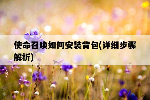 使命召喚如何安裝背包，詳細步驟解析-圖1