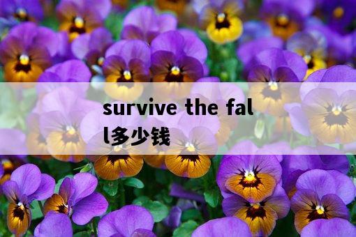 survive the fall多少錢-圖1