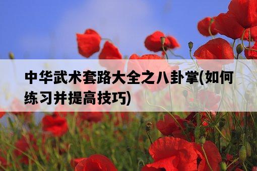 中華武術套路大全之八卦掌，如何練習并提高技巧-圖1