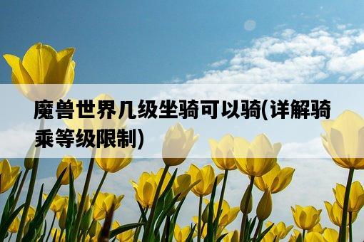 魔獸世界幾級坐騎可以騎，詳解騎乘等級限制-圖1