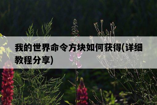 我的世界命令方塊如何獲得，詳細教程分享-圖1