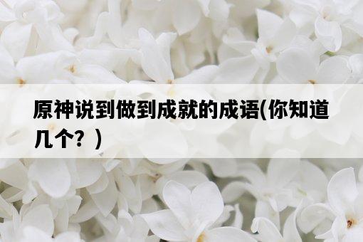原神說到做到成就的成語，你知道幾個？-圖1