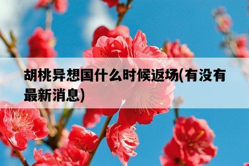 胡桃異想國什么時候返場，有沒有最新消息-圖1