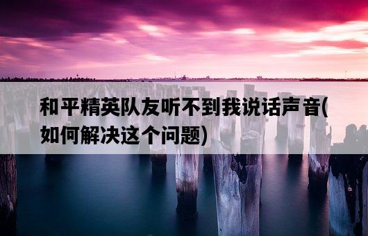 和平精英隊友聽不到我說話聲音，如何解決這個問題-圖1