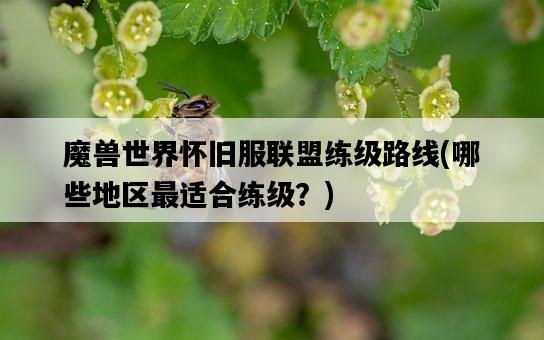 魔獸世界懷舊服聯盟練級路線，哪些地區最適合練級？-圖1