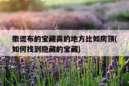 撒謊布的寶藏高的地方比如房頂，如何找到隱藏的寶藏-圖1