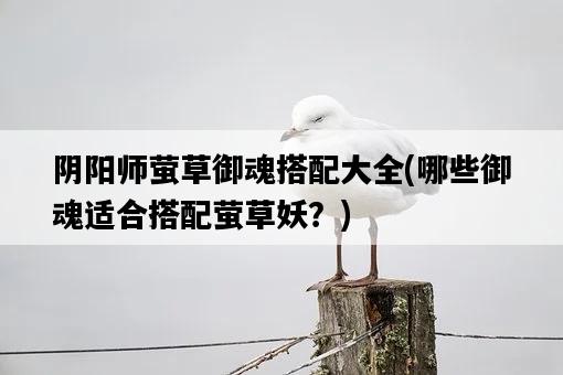 陰陽師螢草御魂搭配大全，哪些御魂適合搭配螢草妖？-圖1