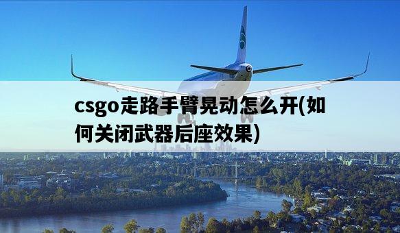 csgo走路手臂晃動怎么開，如何關閉武器后座效果-圖1
