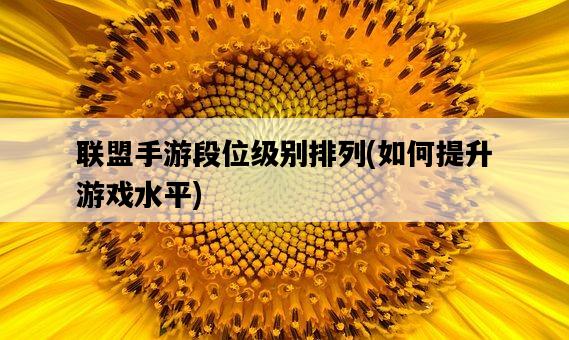 聯盟手游段位級別排列，如何提升游戲水平-圖1
