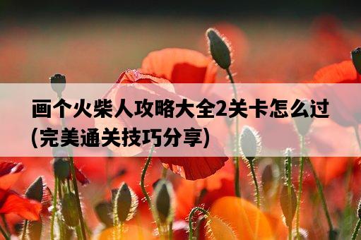 畫個火柴人攻略大全2關卡怎么過，完美通關技巧分享-圖1