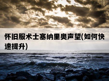 懷舊服術士塞納里奧聲望，如何快速提升-圖1