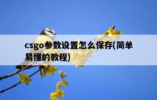 csgo參數設置怎么保存，簡單易懂的教程-圖1