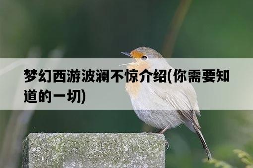 夢幻西游波瀾不驚介紹，你需要知道的一切-圖1