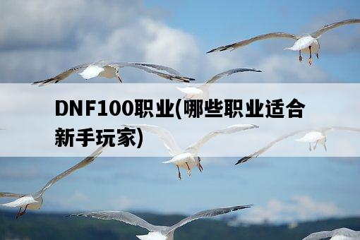 DNF100職業，哪些職業適合新手玩家-圖1