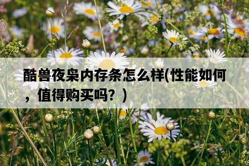 酷獸夜梟內存條怎么樣，性能如何，值得購買嗎？-圖1