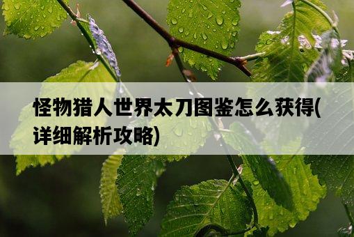 怪物獵人世界太刀圖鑒怎么獲得，詳細解析攻略-圖1