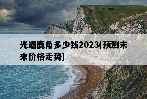 光遇鹿角多少錢2023，預測未來價格**-圖1