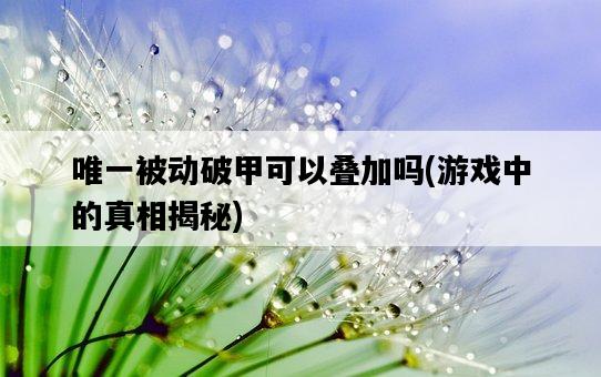 唯一被動破甲可以疊加嗎，游戲中的真相揭秘-圖1