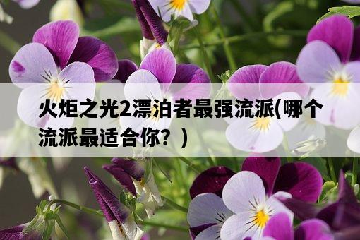 火炬之光2漂泊者最強流派，哪個流派最適合你？-圖1