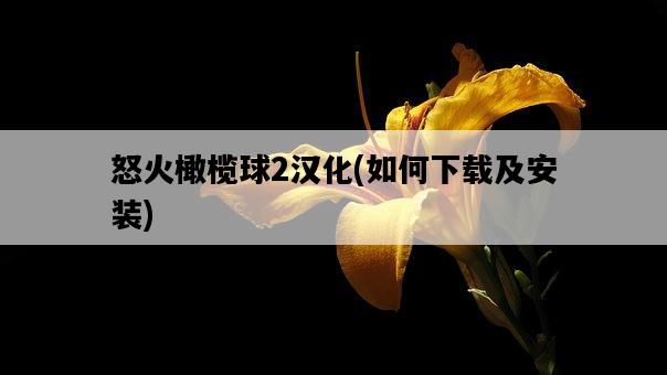 怒火橄欖球2漢化，如何下載及安裝-圖1